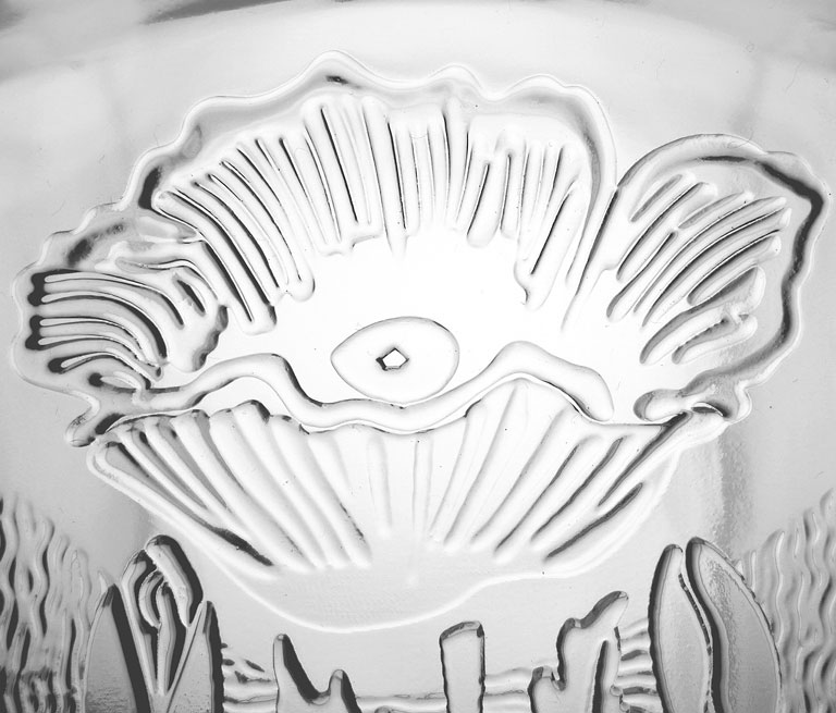 1861557124302635.jpg 1861557124302635.jpg