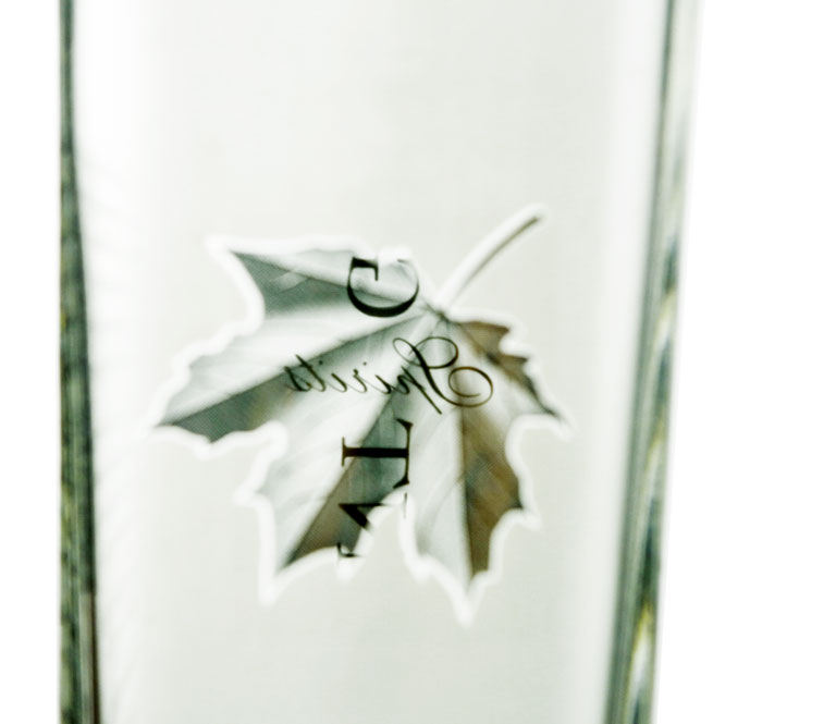 6521557196272908.jpg 6521557196272908.jpg