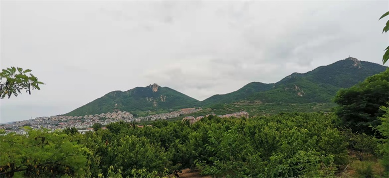 3951631066540365.jpg 微信图片_2021090809222325.jpg