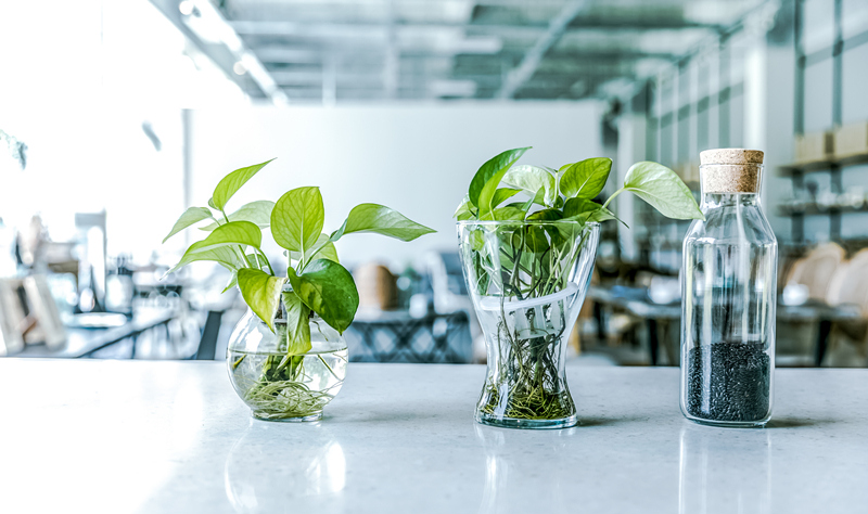 8991660283621971.jpg 4f2709e277136b3390847cf3ee989aaa.jpg