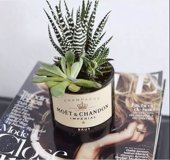 2031675847010705.jpg 微信图片_20230208170312.jpg