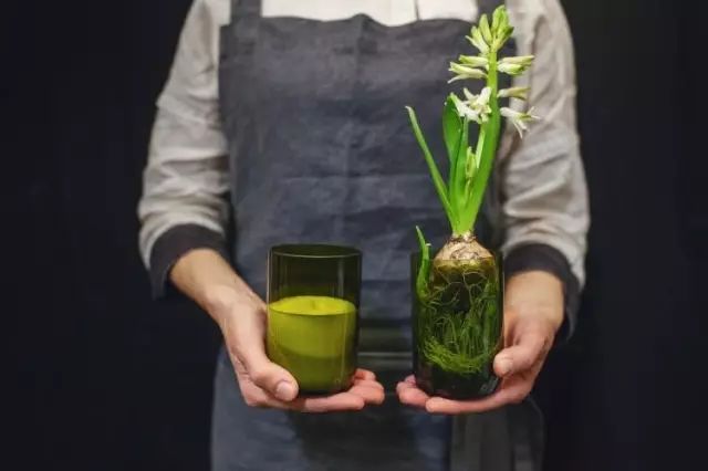 4451688550022675.jpg 640 (4).jpg