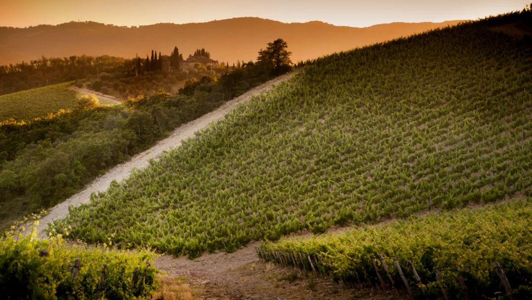 7871688309766732.jpg 微信图片_20230702223929.jpg