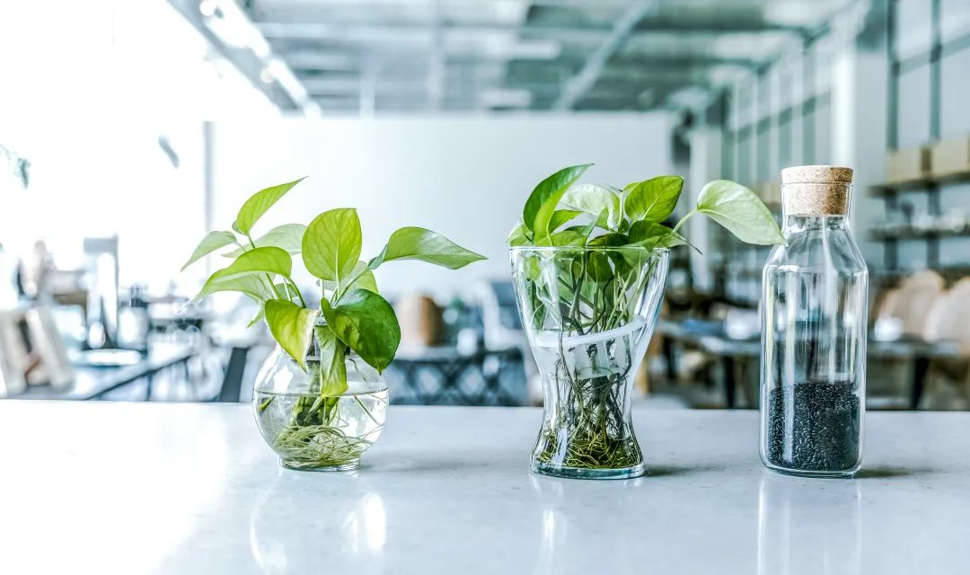 9191688486642656.jpg 微信图片_20230704234649.jpg