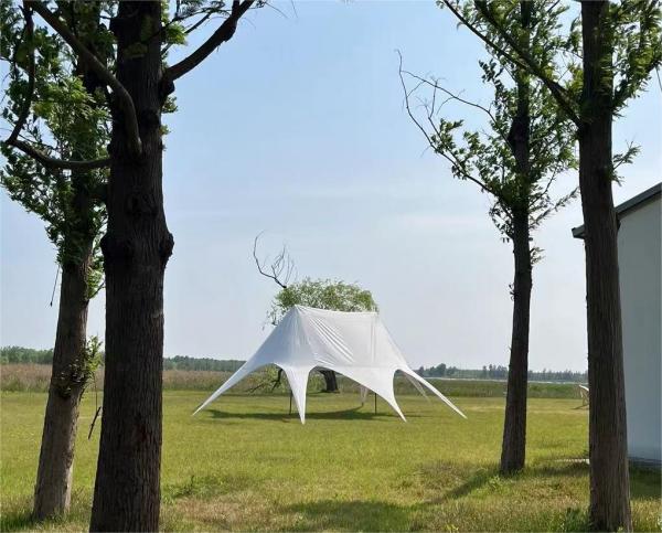 9641692584145823.jpg adbea28369149ef7a59686559ff483f(1).jpg